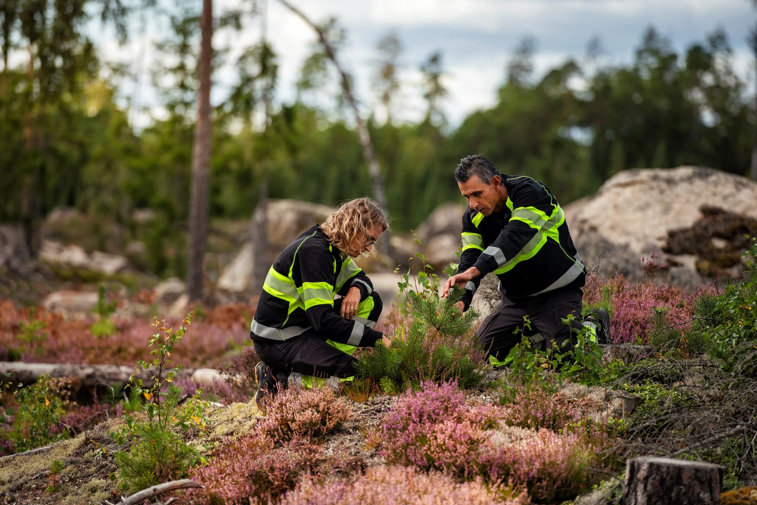 Sveaskog gör hälsa till vardag – med hälsoundersökning för företag