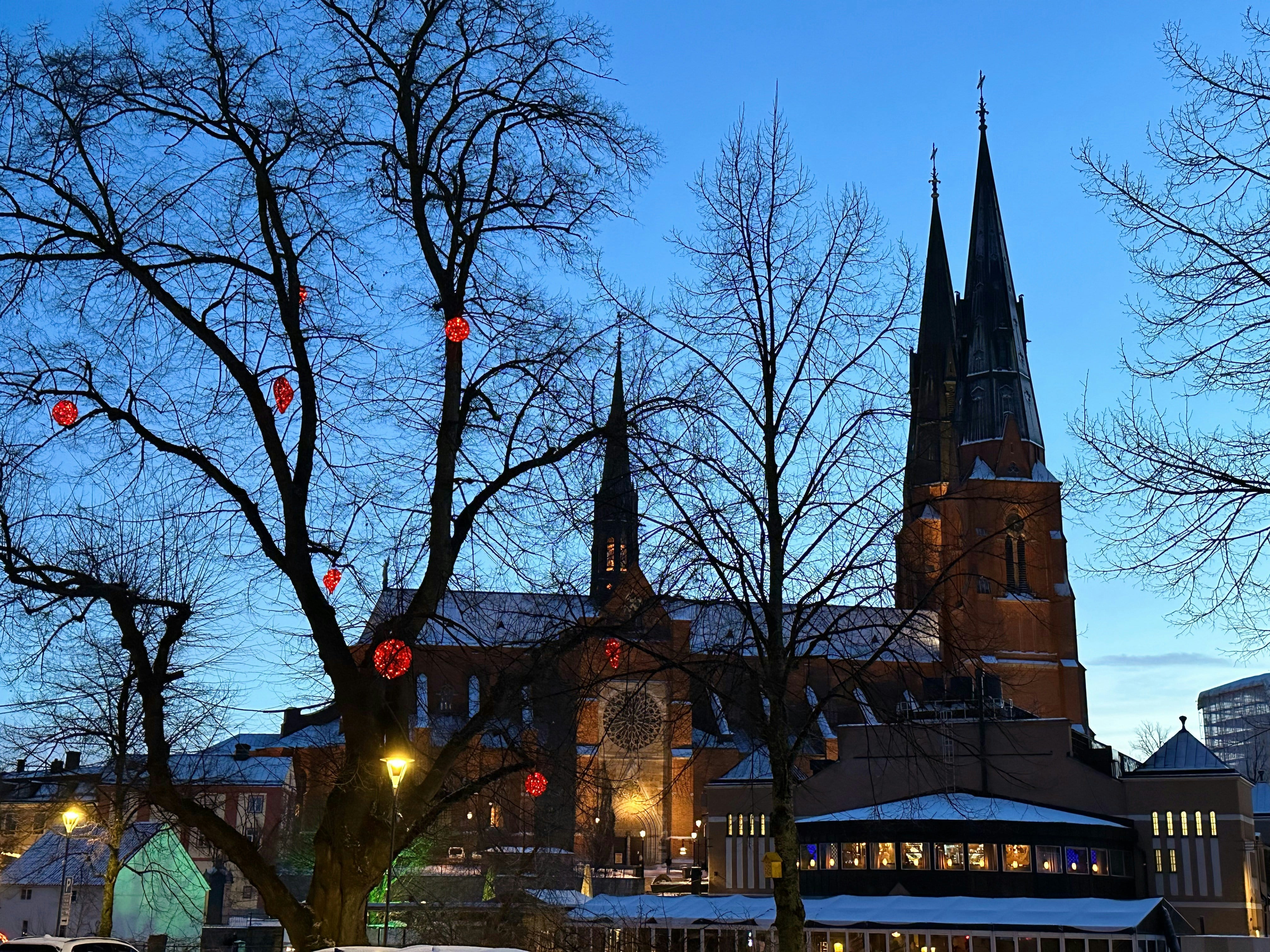 Uppsala domkyrka i vinterskymning, en av platserna där OneLab erbjuder hälsoundersökningar för företag