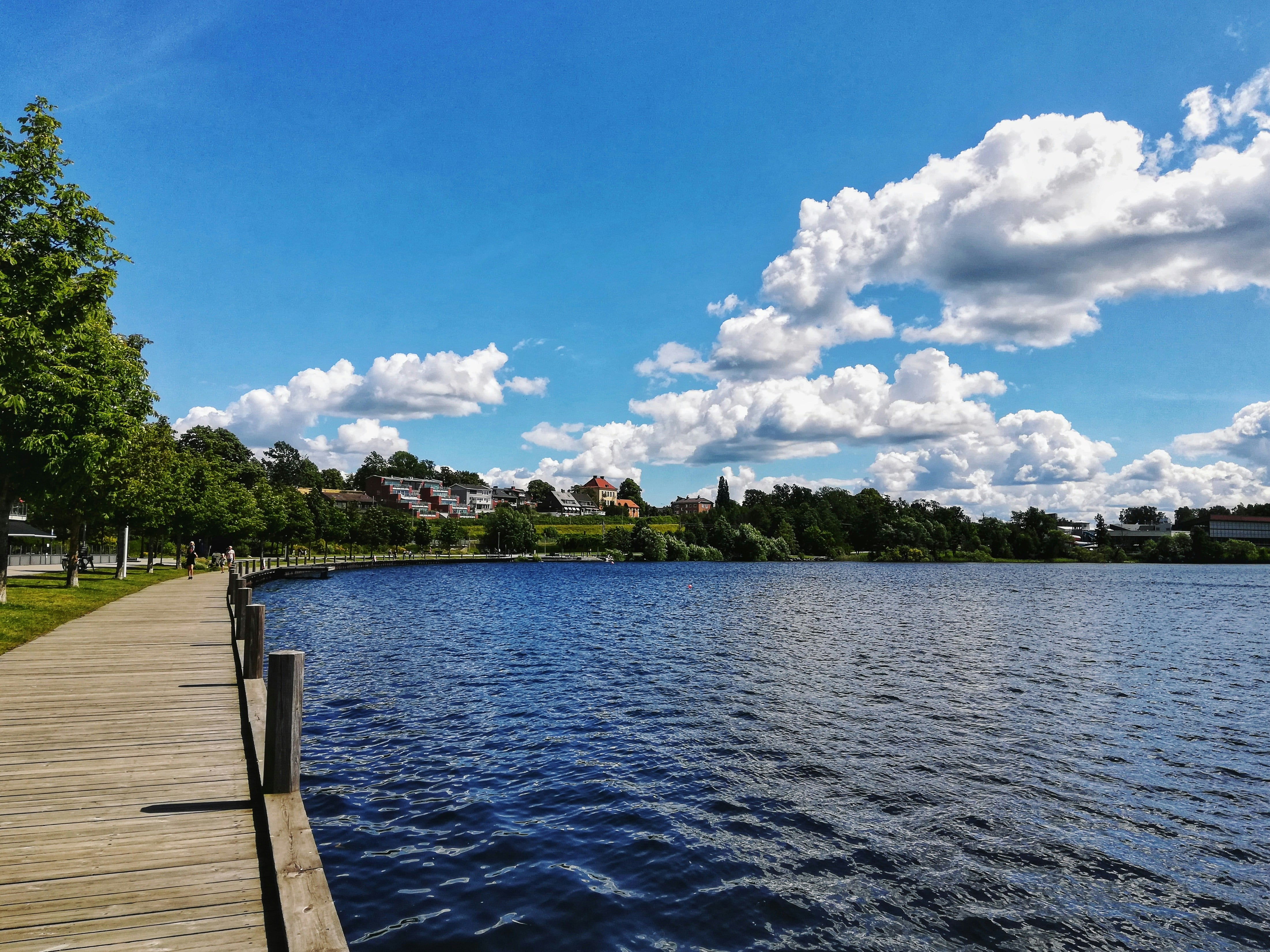 Sjö och träbrygga i Växjö en sommardag, där OneLab erbjuder hälsoundersökningar för företag